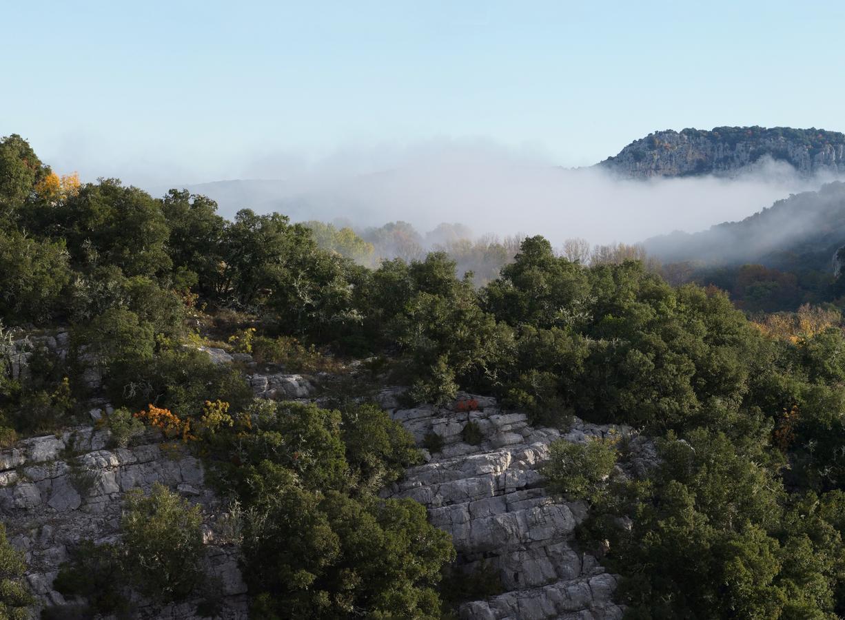 Les Hauts D'Issensac Causse-de-la-Selle Екстер'єр фото