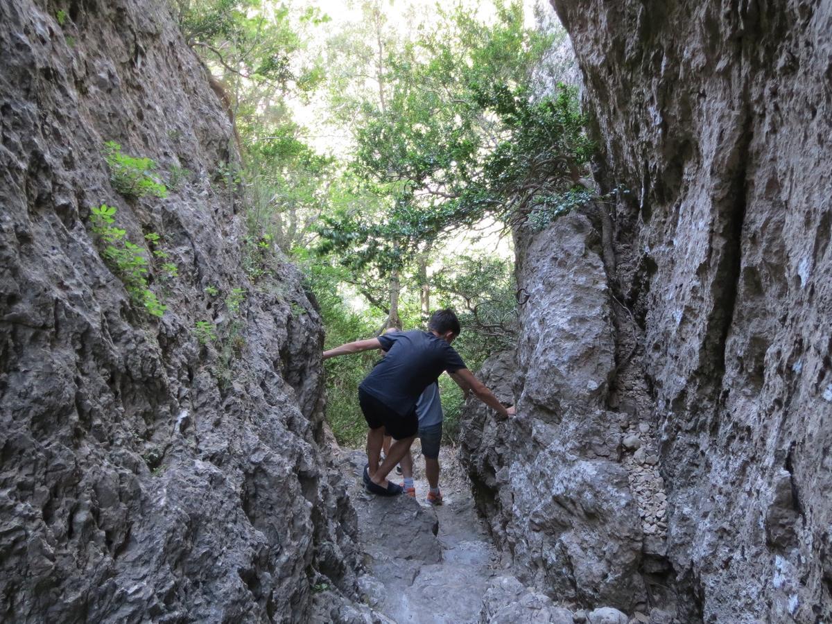 Les Hauts D'Issensac Causse-de-la-Selle Екстер'єр фото
